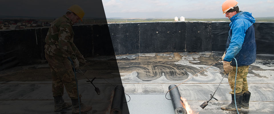 Dairy Roofing Contractors